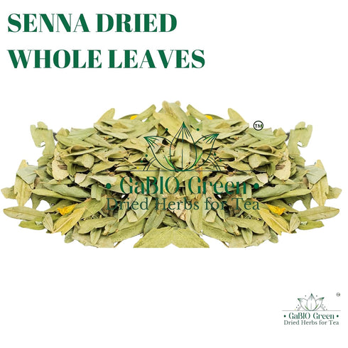 Gabio Green (2oz) Natural Senna Leaves Hoja Sen Dried Herbal Leaves, Senna Raw Leaf, Hoja Sen Cut & Sifted Herbs