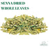Gabio Green (2oz) Natural Senna Leaves Hoja Sen Dried Herbal Leaves, Senna Raw Leaf, Hoja Sen Cut & Sifted Herbs