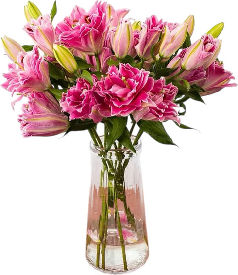 5 Stems Fresh Cut Double Lilies Long Lasting Fragrance Suitable for Hydroponic Flower Arrangements Shipped in Fresh Bud