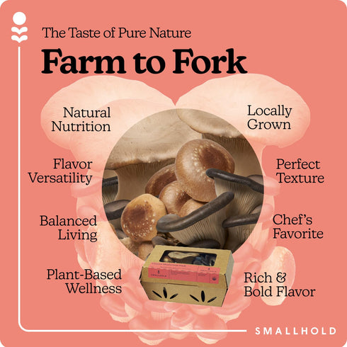 Smallhold Pack 8oz Fresh Organic Umami Mushroom | Locally Grown Gourmet Mushroom | Ready to Cook, Nutrient-Dense