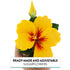 1 Count Global Sugar Art Hibiscus Sugar Cake Flowers Spray, Yellow Hawaiian Cake Flower Large. by Chef Alan Tetreault