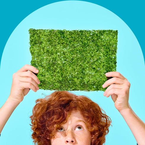 Gimme Omega3s 0.92oz (Pack 10) Seaweed Organic Premium Roasted Seaweed Big Sheets, Sea Salt, Keto, Vegan, Gluten-Free