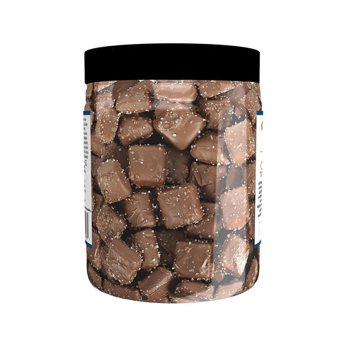 18 oz Sanders Milk Chocolate Sea Salt Caramels - Tub