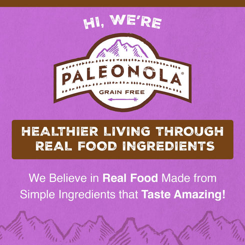 10 Oz (Pack 1) Paleonola Chocolate Fix Grain Free Granola, Resealable Bag of - Grainless Paleo Granola Blended w/Dried