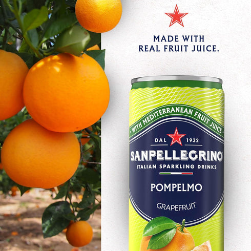 Pack 11.15 Oz (12 Pack) San Pellegrino Sparkling Fruit Beverages Variety - Fl Cans