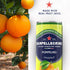 Pack 11.15 Oz (12 Pack) San Pellegrino Sparkling Fruit Beverages Variety - Fl Cans