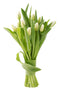 KaBloom PRIME NEXT DAY DELIVERY - Bouquet of Fresh White Tulips| Fresh