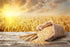 10 Food to Live Organic Whole Wheat Couscous, Ounces Non-GMO, Kosher, Raw, Vegan, Bulk