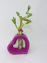 JM BAMBOO (1) Lucky Bamboo Pink Heart Vase Arrangement -JMBamboo