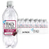 Hal's New York Seltzer Water, Black Cherry Sparkling Water, 20 Fl Oz Bottles (Pack of