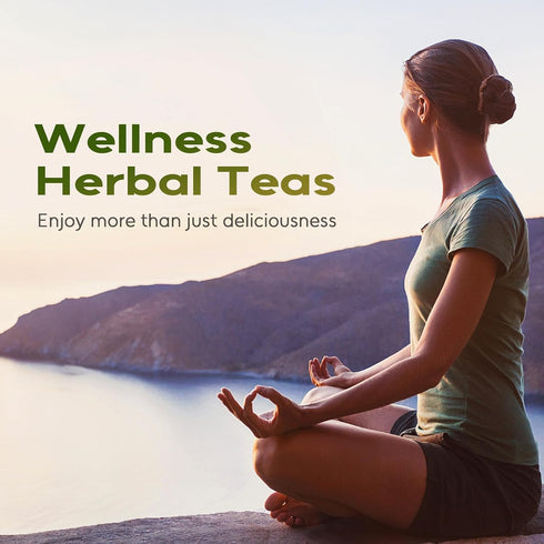 50 FullChea - Chickweed Tea, Teabags - Premium Natural Chickweed Herb - Non-GMO - Caffeine-Free Herbal Tea - Soothe