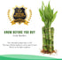 4" Live Lucky Bamboo Single Stalk with Round Red Planter - Indoor House Plant for Good Luck, Fortune, Feng Shui and Zen