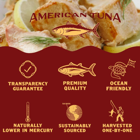 Albacore (6) 5 American Tuna Sushi-grade Wild Tuna Fish - No Salt Added, Wild Caught, MSC Certified, and Pole Caught |