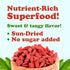 4 Food to Live Organic Goji Berries, Ounces Sun Dried, Large and Juicy, Non-GMO, Raw, Vegan, Sirtfood, Bulk