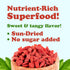 8 Food to Live Organic Goji Berries, Ounces Sun Dried, Large and Juicy, Non-GMO, Raw, Vegan, Sirtfood, Bulk