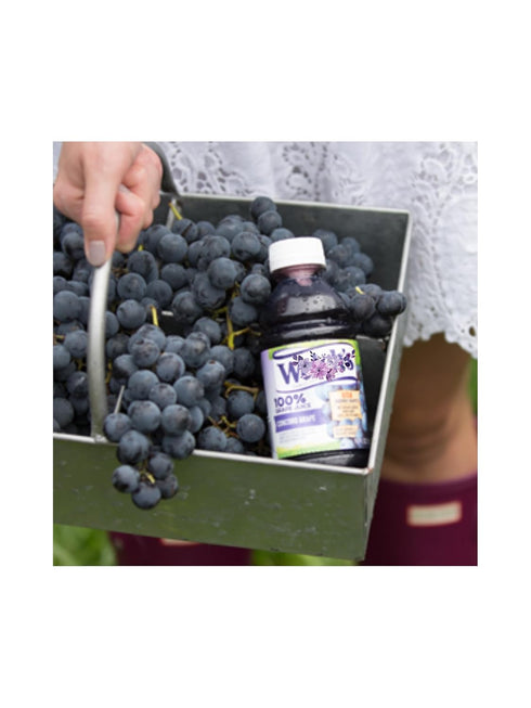 LiteZout 100% 10oz, (24 pack), Concord Grape Juice, by