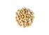 12 Filberts, Food to Live Organic Blanched Roasted Hazelnuts, Ounces Non-GMO, Dry Roasted No Skin, Whole Nuts