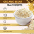 Generic 250gm Organic Chickpea Flour (Besan) High Protein, High Fiber, Gluten Free Gram Flour Low Glycemic, Plant Based