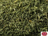 Spicy World Dill Weed 2.5 Oz Bag (70g) - Perfect Seasoning and Spice for Salads and Soups