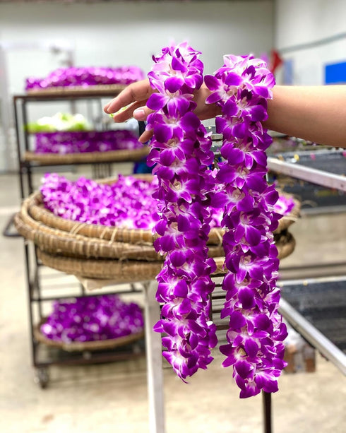 Natural Purple Sonia Orchid Lei - Fresh Dendrobium Flower Arrangement