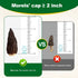 Trimmed (2+ Inches) 2oz Grade100% MillynLike Dried Morel Mushrooms Stems & Large Caps | Gourmet Morchella Conica