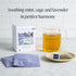 15 Count (Pack 1) Rishi Tea Lavender Mint Herbal Tea - Organic, Caffeine Free Sachet Bags, Calming Lavender
