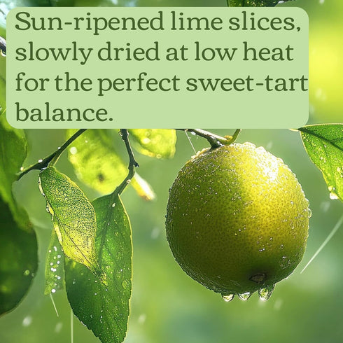 16 oz 1 lb 454g Dehydrated Lime Slices / / Bulk - Cocktail Garnish, Baking, Cooking, Tea, Crafts | All-Natural Dried