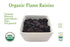 (10LB) Organic Flame Raisins Seedless No added Sugar, Non GMO, Vegan, Pesticide Free Unsulfured Vegan Bulk US Grown, by