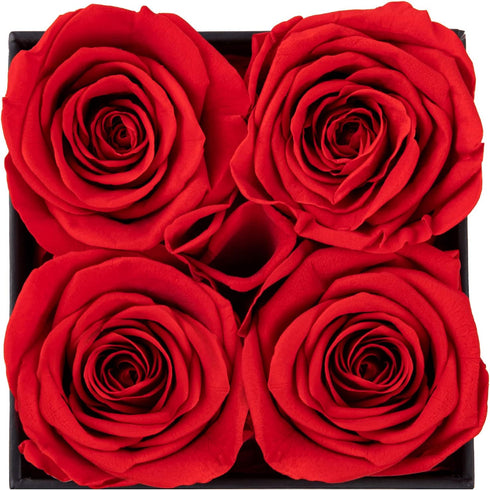 Impouo Preserved Roses Red + Purple Bundle, Flowers for Delivery Prime - Roses in a Box - Real Roses That Last a Year