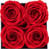 Impouo Preserved Roses Red + Purple Bundle, Flowers for Delivery Prime - Roses in a Box - Real Roses That Last a Year