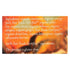 16 (Pack 6 Numi Tea Organic Orange Spice White Tea, Tea Bags per Box of Boxes)