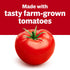 23.2 oz Campbell's Condensed Tomato Soup, Family Size Can