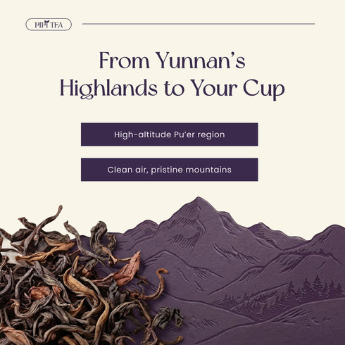 PiPi Tea 20 (4g Organic Oolong Tea Bags Whole Leaf, Bags Each) Cortisol & Calming Tea for Anxiety, Stress, Weight Loss