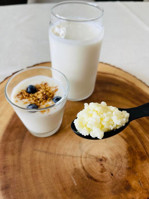 NatuDelight 1 Kefit - Live Milk Kefir Grains, TBSP Starter Culture for Home Production