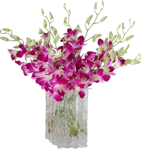 20 Stems purple orchids fresh cut flower gift birthday anniversary Valentine's Day