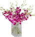 20 Stems purple orchids fresh cut flower gift birthday anniversary Valentine's Day
