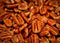 Pecan Shop Unsprayed Sprouted 12 Ounce Raw Family Recipe Crispy Sea Salt