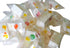 DM Sweets 1 lb Jube Nougats Chewy Candy | of Fruity Jelly Nougat Bites | Individually Wrapped Assorted Treats | Soft