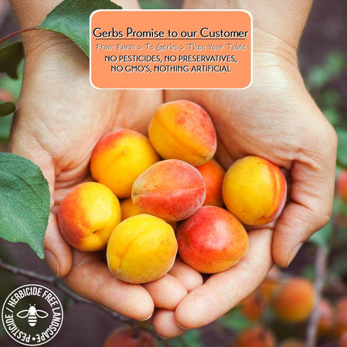 2 lbs. 14 Gerbs Dried Apricots | Unsulfured, No Artificial Additives, Resealable Bag | Naturally Sweet & Chewy | Top
