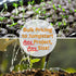 1 Lb Organic Non-GMO Whole Oat Grain Seeds (With Husk Intact)- Re-Sealable Pouch- Oats Seed Grains, for Sprouting, Oat