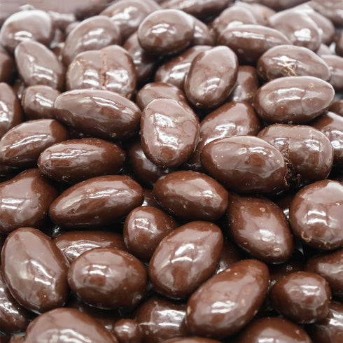 20 oz Hayden Valley Foods Dark Chocolate Covered Almonds | Resealable Bag | No Artificial Flavors, Preservatives