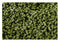 Generic 1oz Hops US IDAHO GEM - It's a Cherry Bomb American High
