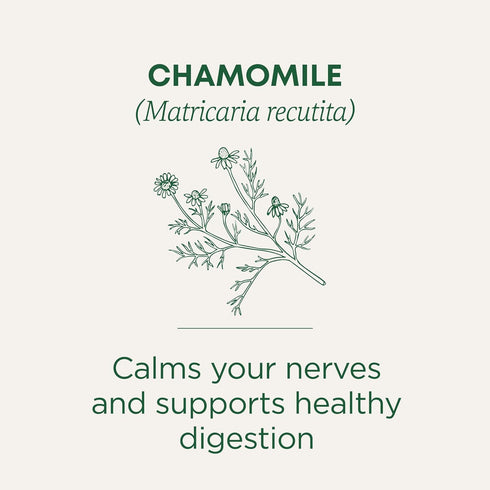 96 (6 Pack) Traditional Medicinals Tea, Organic Chamomile, Calming, Calms Your Nerves, Supports Healthy Digestion, Tea
