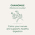 96 (6 Pack) Traditional Medicinals Tea, Organic Chamomile, Calming, Calms Your Nerves, Supports Healthy Digestion, Tea