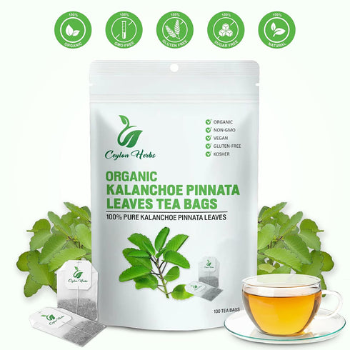 Generic 100% Kalanchoe Pinnata Leaves Tea Bags Pure Dried Leaves, Herbal Tea Bags for Daily Brewing