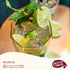 1.75 (59.2 Oz), Pack 3 Master of Mixes Mojito Drink Mix, Ready To Use, Liter Bottle Fl