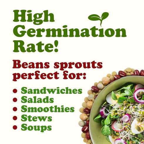 1 Food to Live Organic Crunchy Mix of Sprouting Beans, Pound - Non-GMO, Kosher, Non-Irradiated, Vegan, Raw, Dried, Bulk