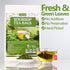 60 100% Premium Soursop Tea Bags, Made with Natural Graviola Leaves, Hoja Guanabana Tea, No Additives & Caffeine Free.
