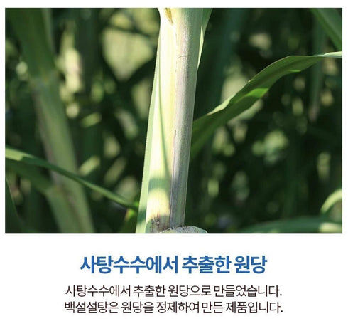 Beksul 2.2lb Korean Fine Quality Sugar (White)