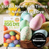 Natural Earth Paint Egg Dye Kit - Eco-Friendly Non-Toxic Easter Egg Coloring for Kids & Adults, 4 Dyes